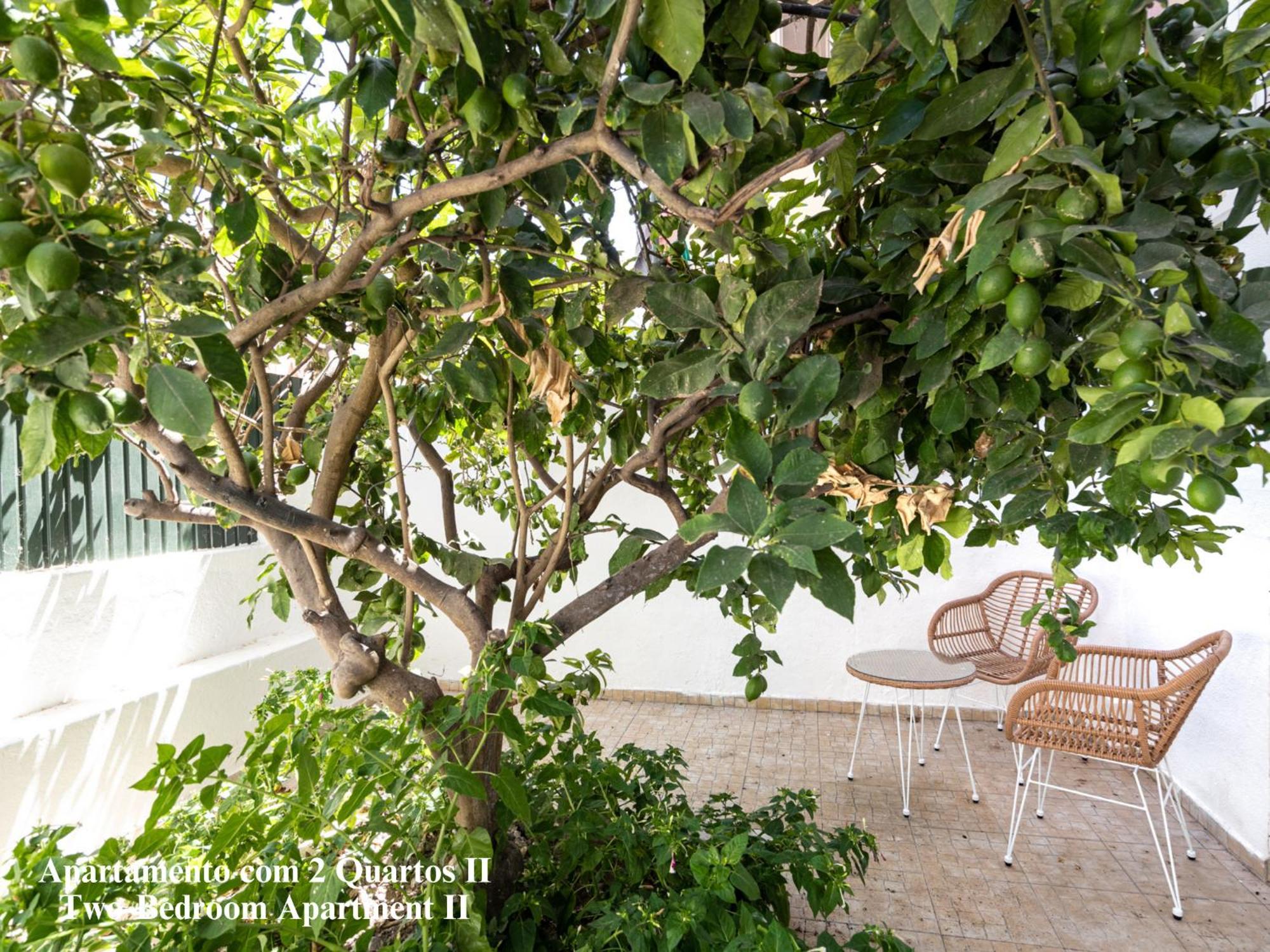 Akicity Penha Tranquil Apartment